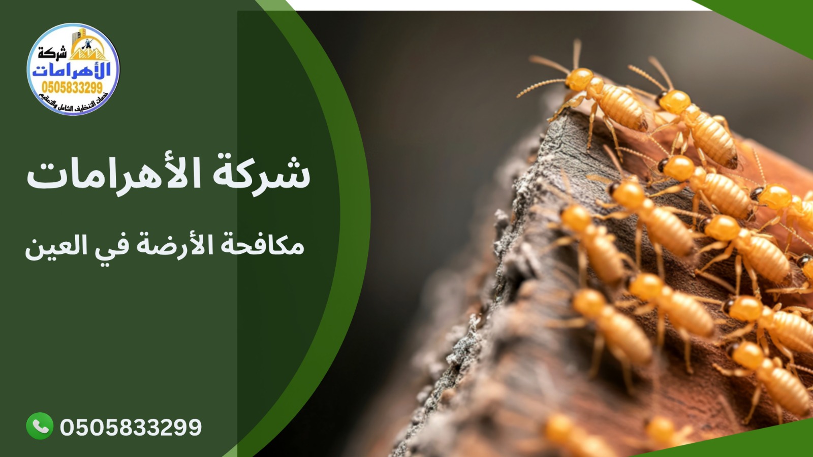 مكافحة الأرضة في العين