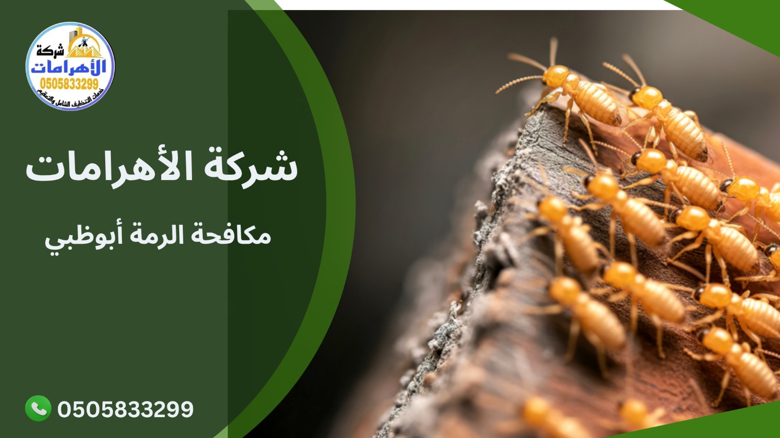 مكافحة الرمة أبوظبي