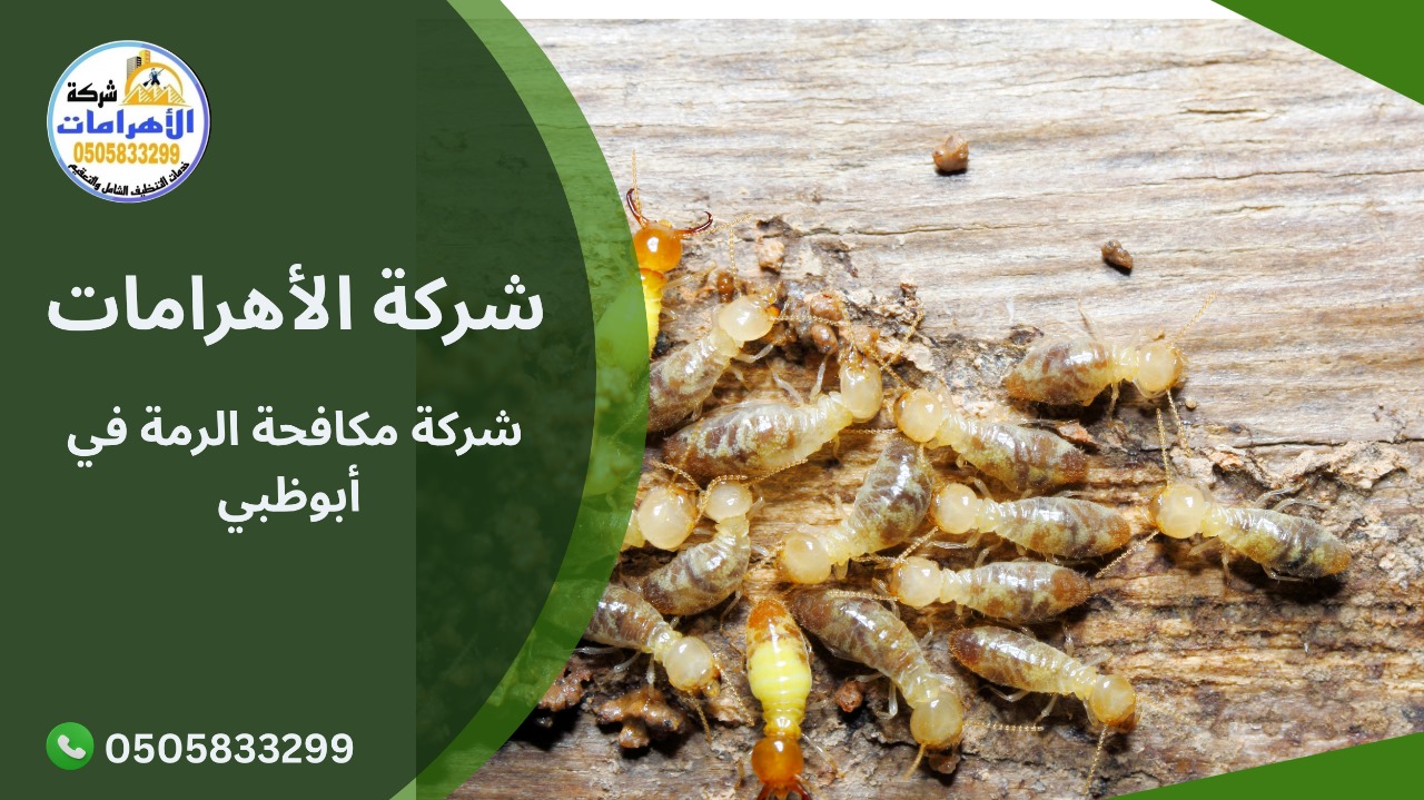 شركة مكافحة الرمة في أبوظبي