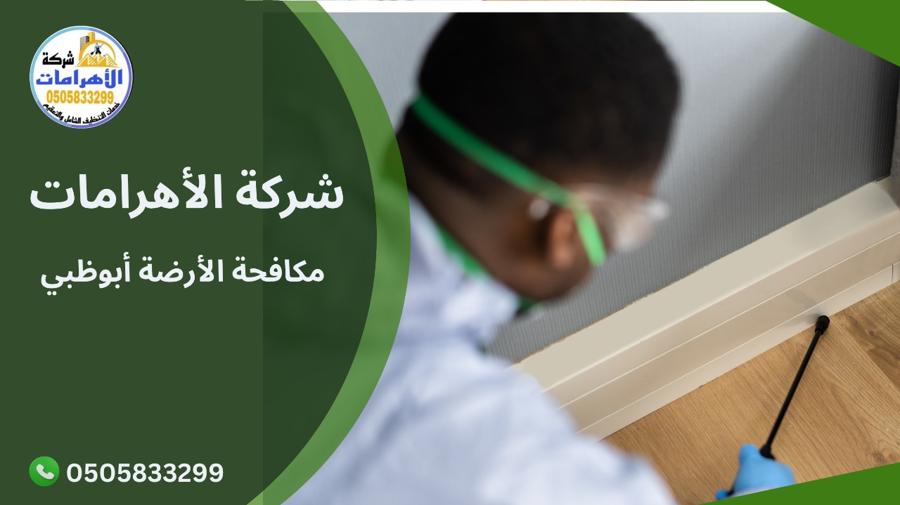 مكافحة الأرضة أبوظبي