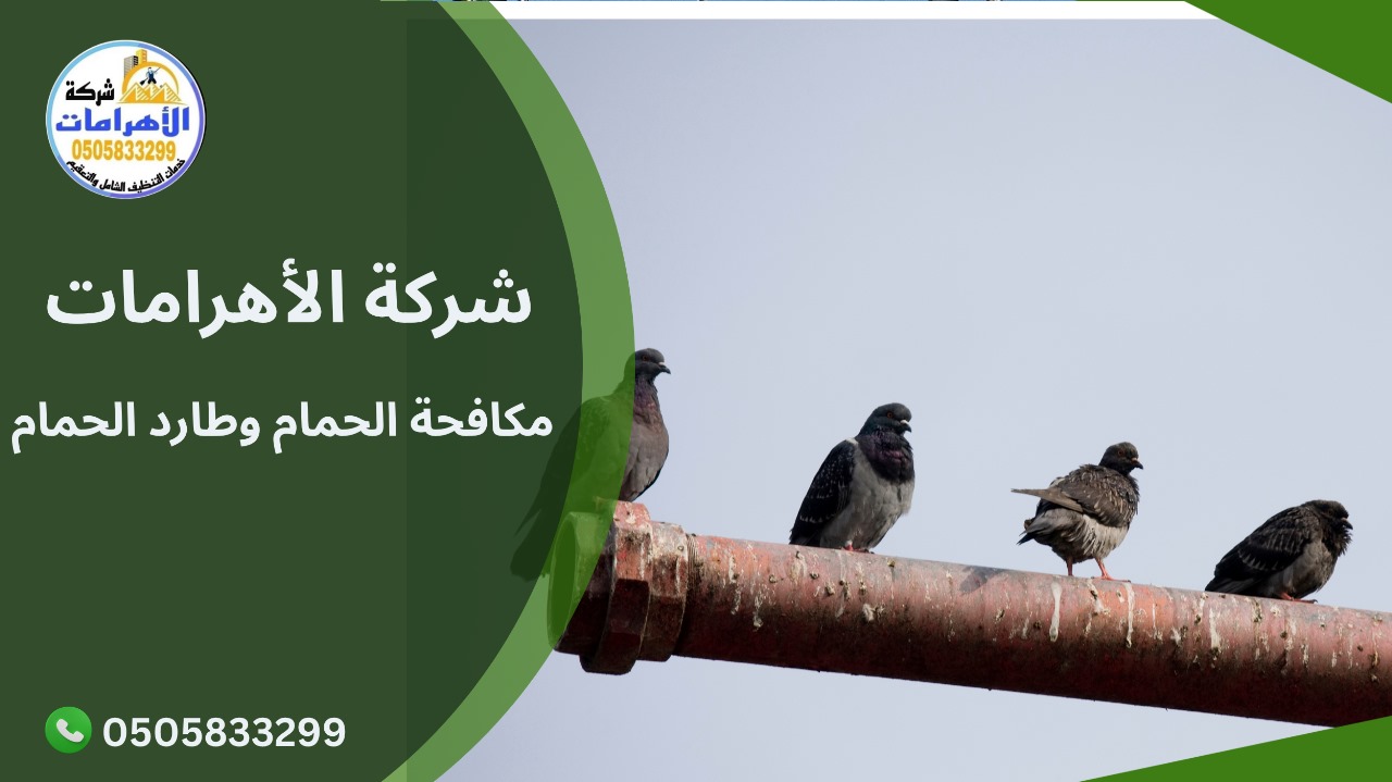 مكافحة الحمام وطارد الحمام