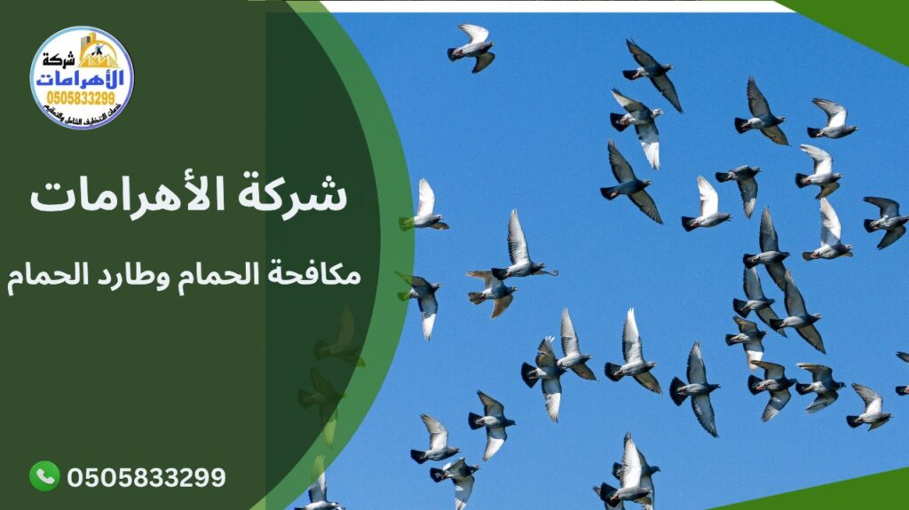 مكافحة الحمام وطارد الحمام