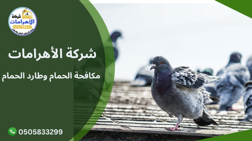 مكافحة الحمام وطارد الحمام
