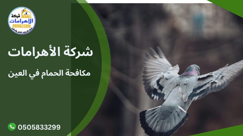 مكافحة الحمام في العين