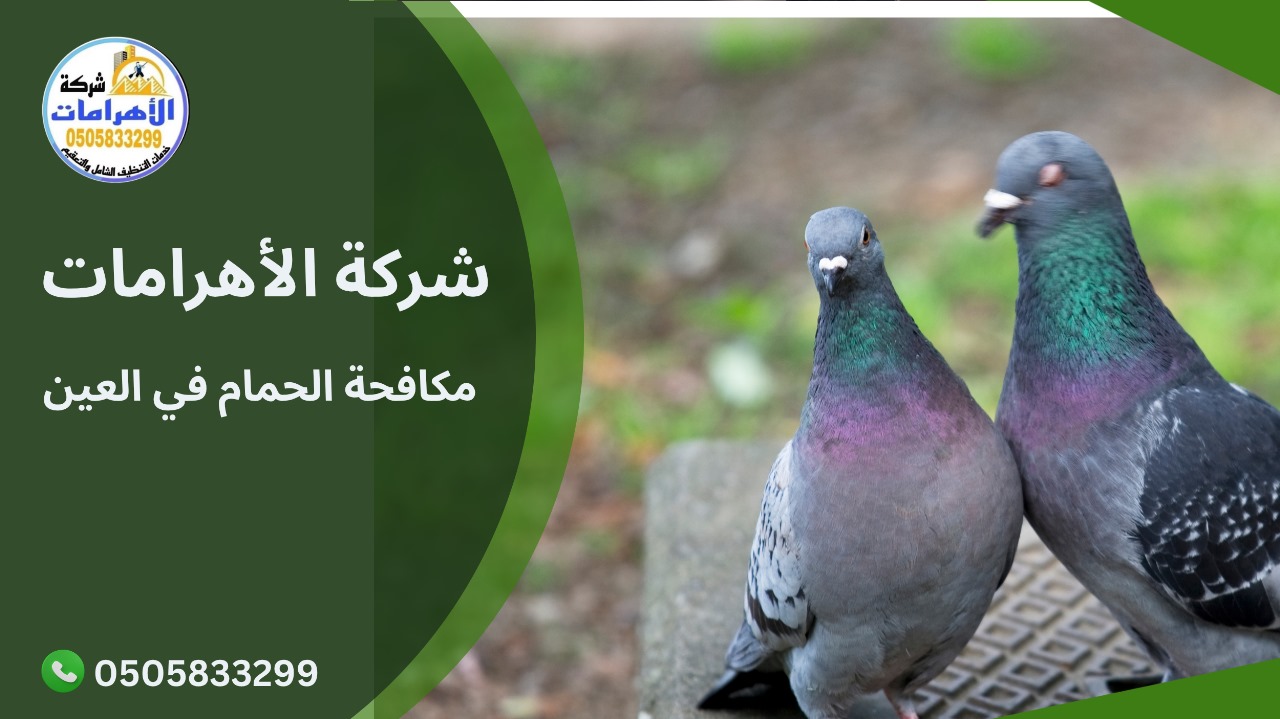 مكافحة الحمام في العين