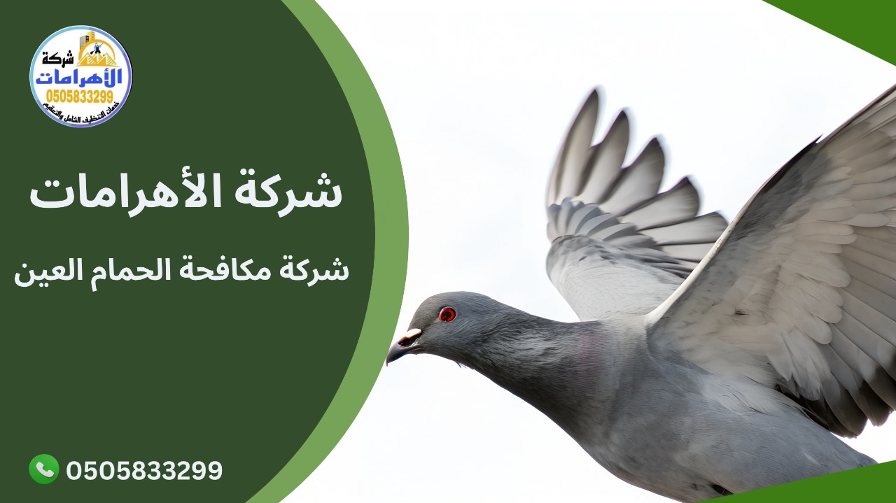 شركة مكافحة الحمام العين