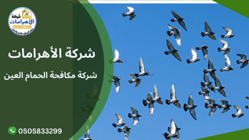 شركة مكافحة الحمام العين