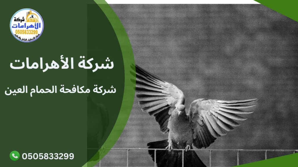 شركة مكافحة الحمام العين