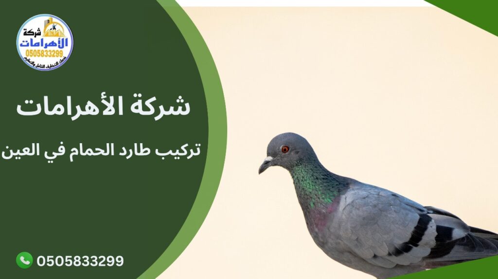 تركيب طارد الحمام في العين