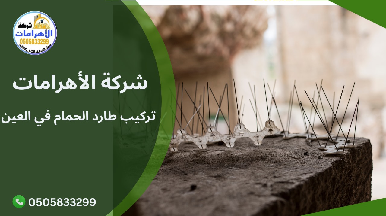 تركيب طارد الحمام في العين