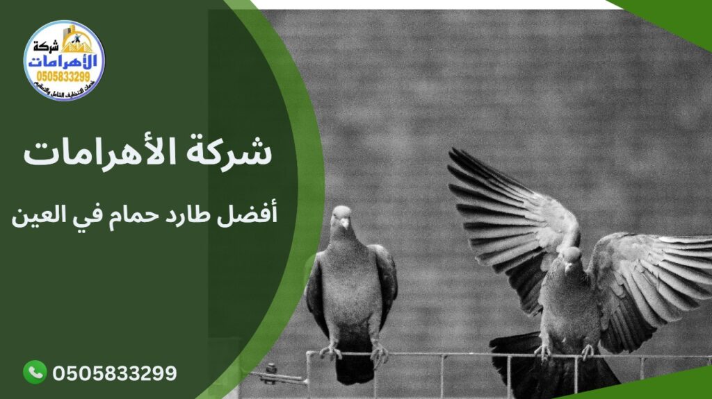 أفضل طارد حمام في العين