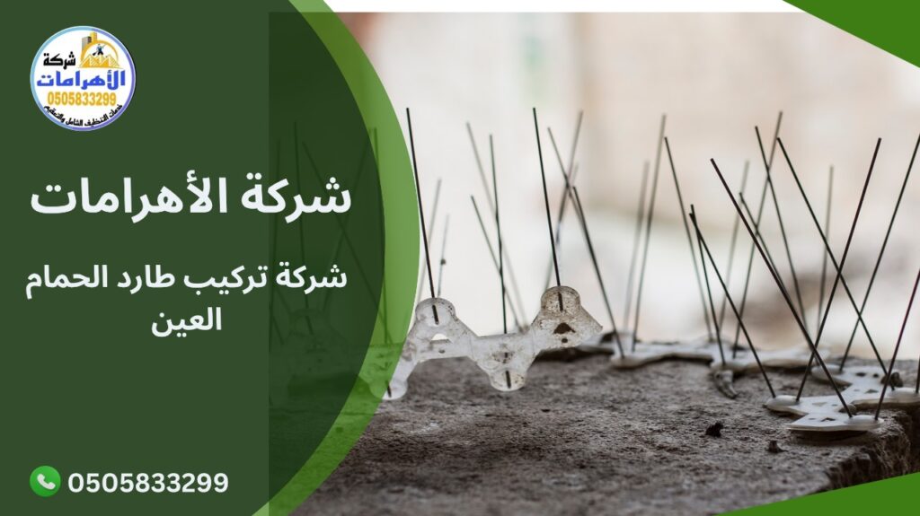 شركة تركيب طارد الحمام العين