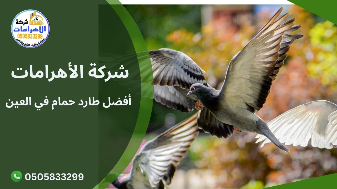 شركة تركيب طارد الحمام العين