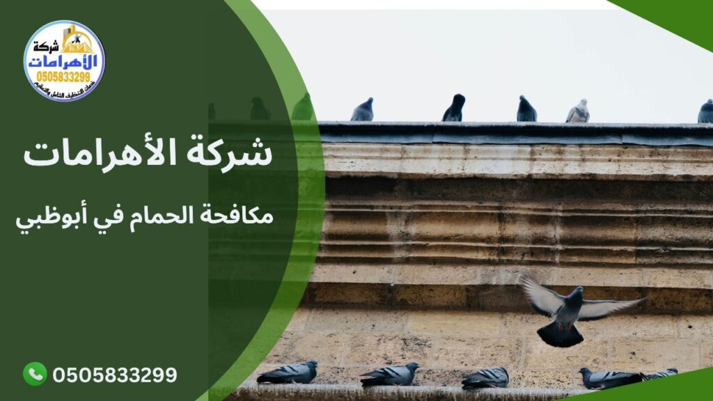 مكافحة الحمام في أبوظبي