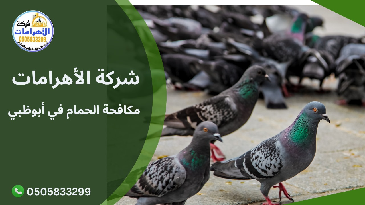 مكافحة الحمام في أبوظبي