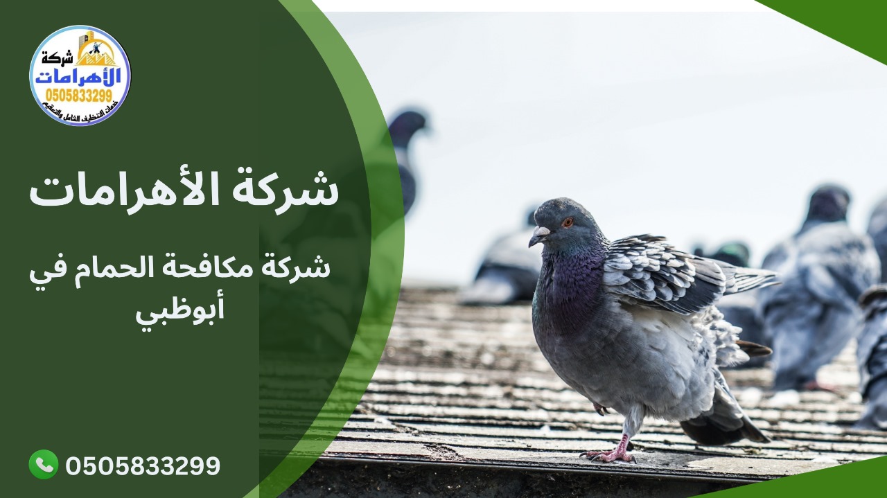 شركة مكافحة الحمام في أبوظبي