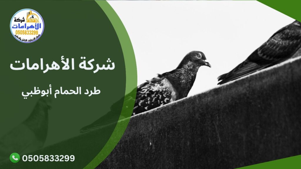 طرد الحمام أبوظبي