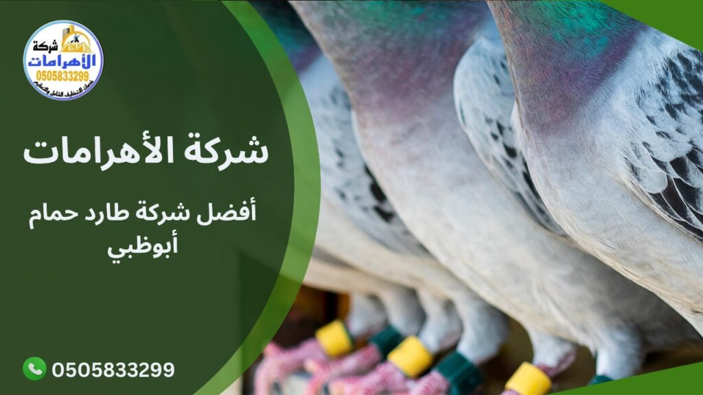 أفضل شركة طارد حمام أبوظبي