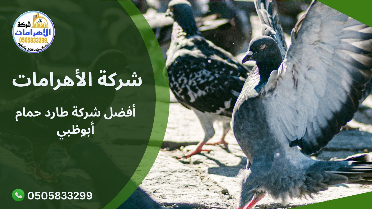 أفضل شركة طارد حمام أبوظبي