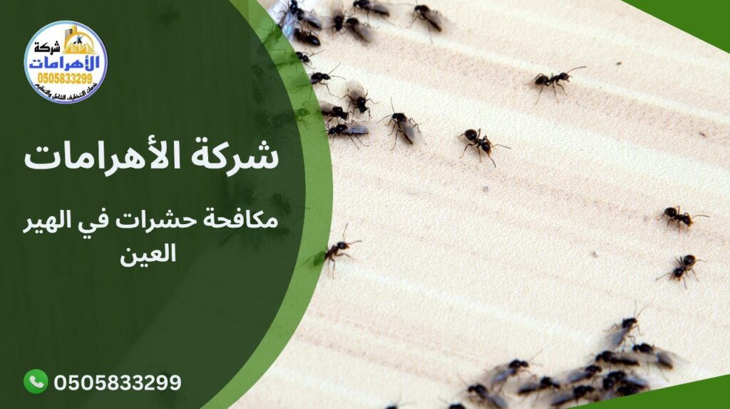  مكافحة حشرات في الهير العين