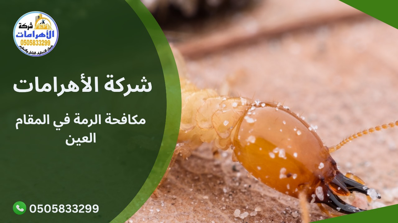 مكافحة الرمة في المقام العين