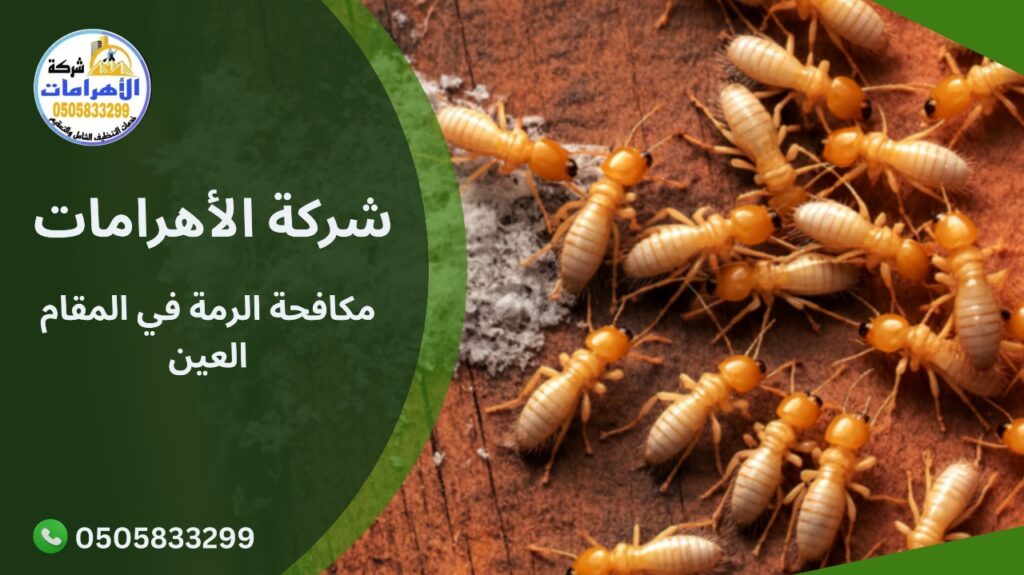 مكافحة الرمة في المقام العين