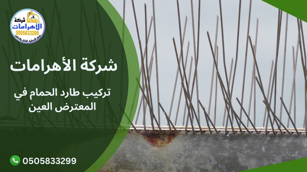 تركيب طارد الحمام في المعترض العين