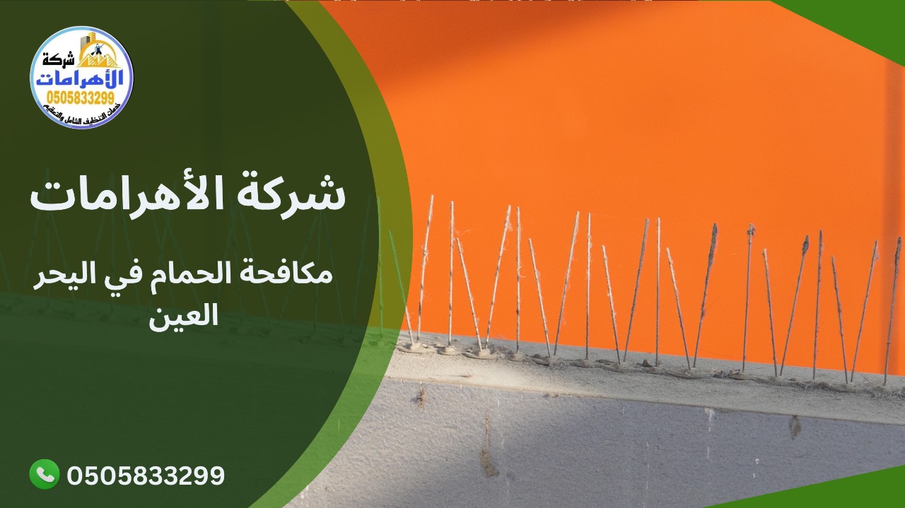 مكافحة الحمام في اليحر العين