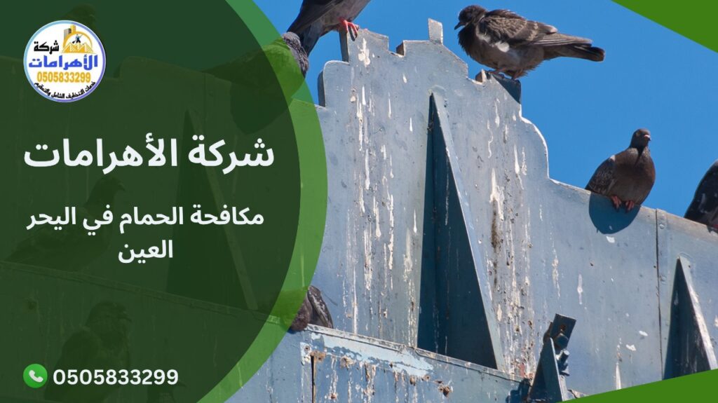 مكافحة الحمام في اليحر العين