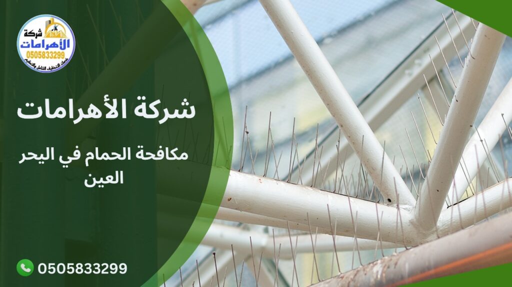 مكافحة الحمام في اليحر العين