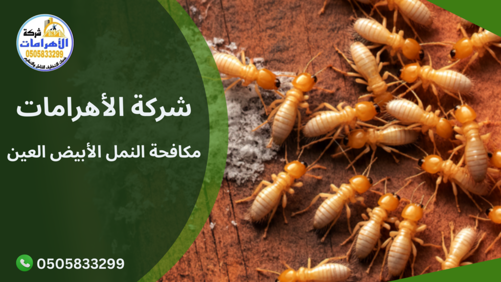 مكافحة النمل الأبيض العين