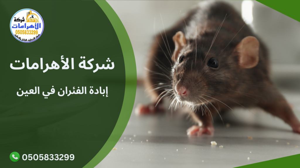 إبادة الفئران في العين