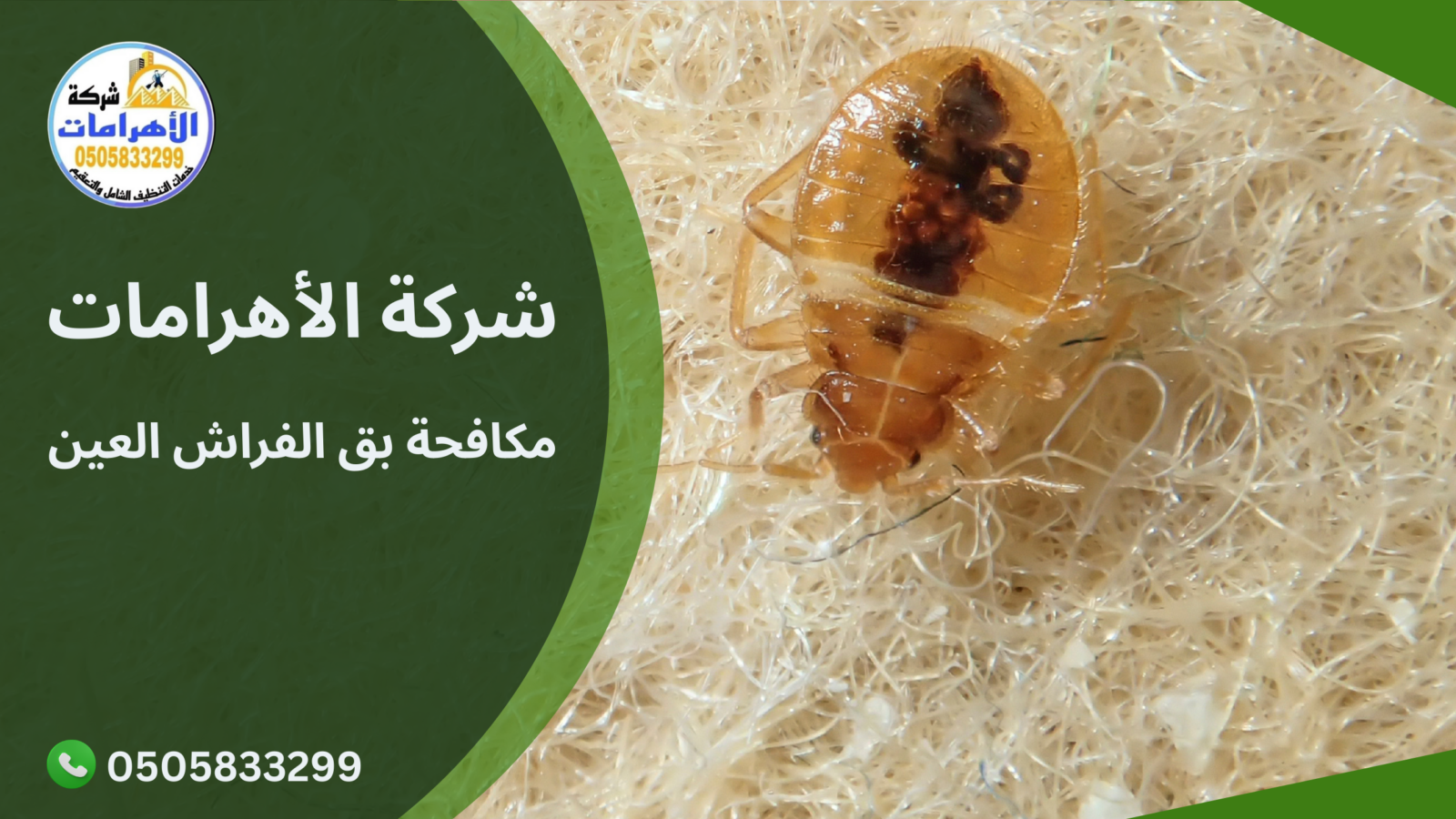 مكافحة بق الفراش العين