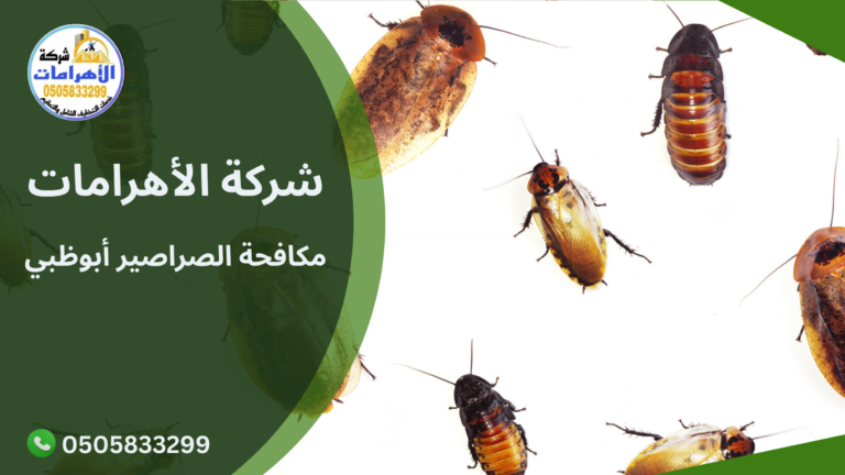 مكافحة الصراصير أبوظبي