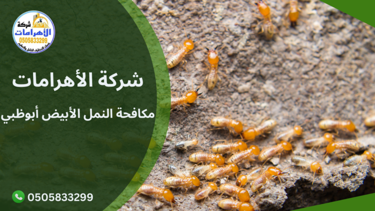 مكافحة النمل الأبيض أبوظبي