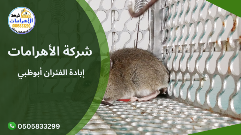 إبادة الفئران أبوظبي