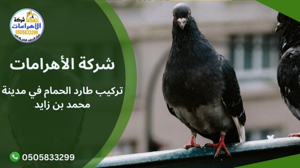 WhatsApp Image 2025 12 08 at 4.02.03 PM (1) تركيب طارد الحمام في مدينة محمد بن زايد
