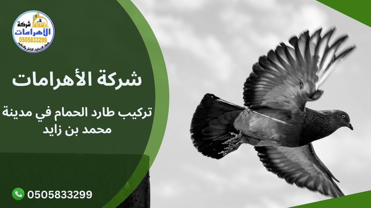 تركيب طارد الحمام في مدينة محمد بن زايد