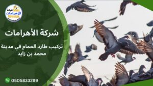 WhatsApp Image 2025 12 08 at 4.02.23 PM تركيب طارد الحمام في مدينة محمد بن زايد