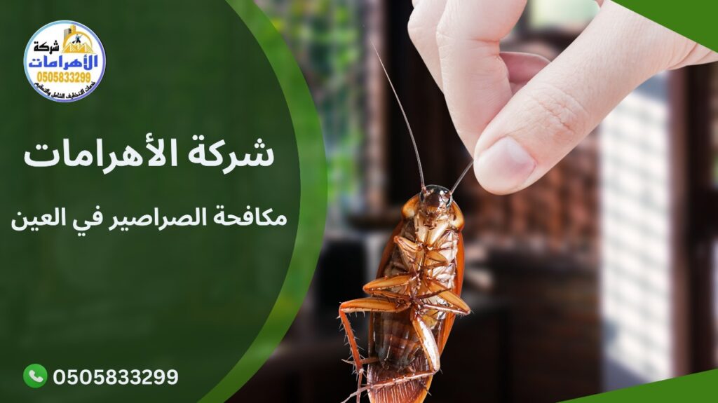 WhatsApp Image 2025 12 10 at 2.11.19 PM (1) مكافحة الصراصير في العين