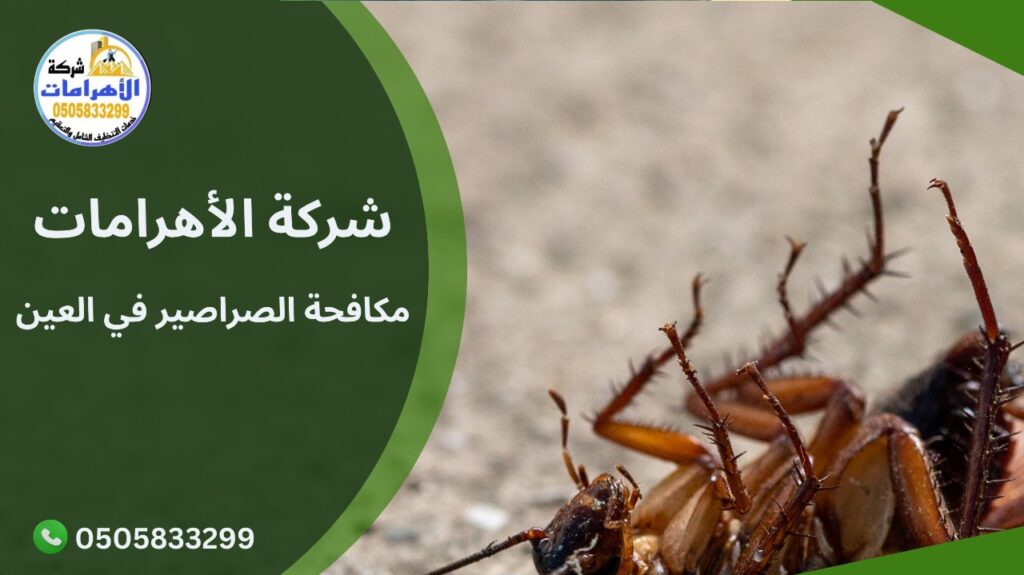 WhatsApp Image 2025 12 10 at 2.11.22 PM مكافحة الصراصير في العين